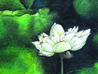 childrensgallery
