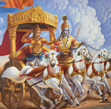 eldersgallery