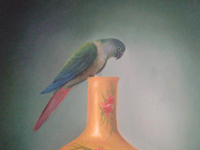 eldersgallery