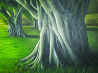 eldersgallery