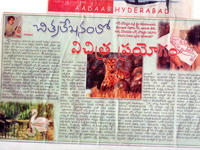 pressclips