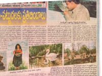 pressclips