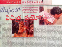 pressclips